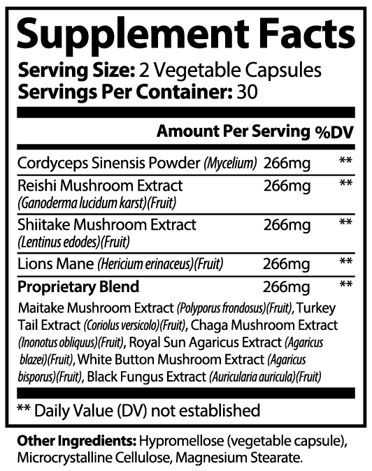 Mushroom Complex 10 X - ZYRALUX