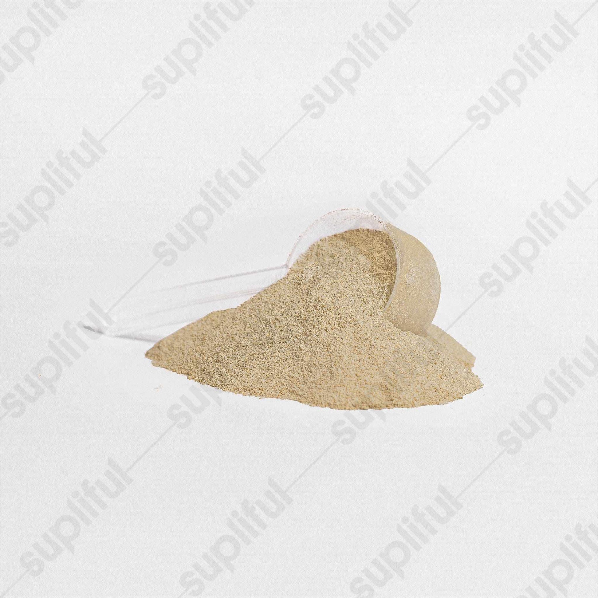 Advanced 100% Whey Protein Isolate (Vanilla) - ZYRALUX